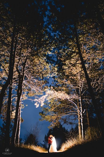 Fotógrafo de casamento Dmitriy Strelchuk (strelciuc). Foto de 19 de dezembro 2015