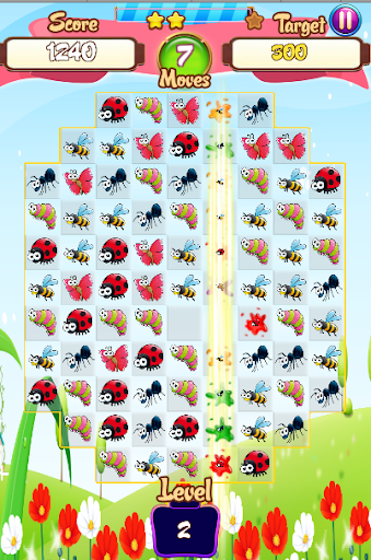 insect Matching