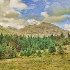 Hills & Trees by Stephanie Moore - Landscapes Mountains & Hills