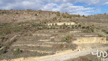 terrain à Saint-Rome-de-Tarn (12)