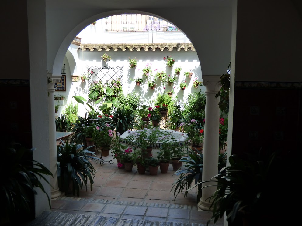 patios fleuris de cordoue