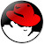 Redhat Search Assistant