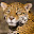 Leopard Wallpaper New Tab