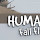 Human Fall Flat HD Custom New Tab