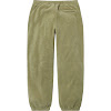 polartec® pant fw21