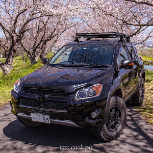 RAV4 ACA31W