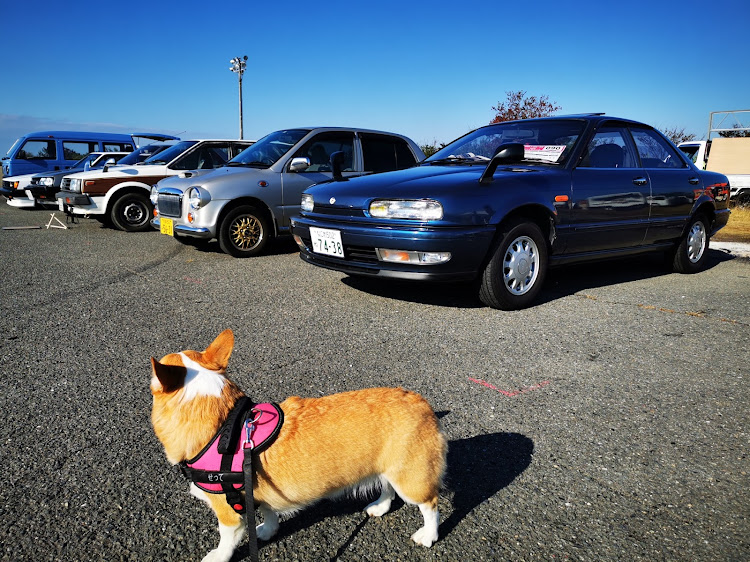 RX-7の昭和レトロカー万博・昭和レトロカー万博2023・レトロカー万博に関するカスタム事例の投稿画像21枚目