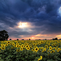 Tramonto d'estate di 