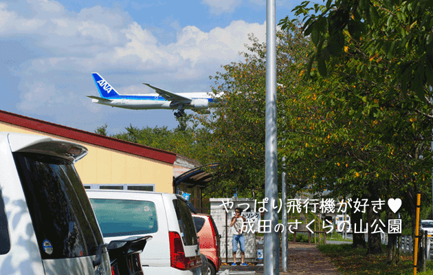 成田さくらの山で見た飛行機