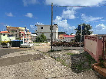 locaux professionnels à Sainte-Marie-Morne-des-Esses (972)