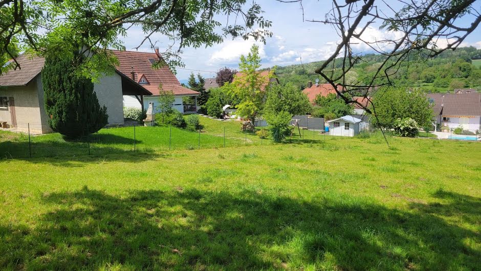 Vente terrain  2461 m² à Luemschwiller (68720), 220 000 €