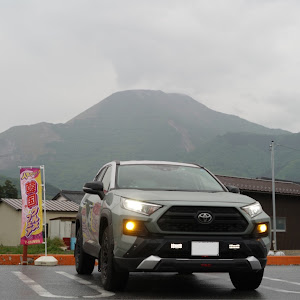 RAV4 AXAP54