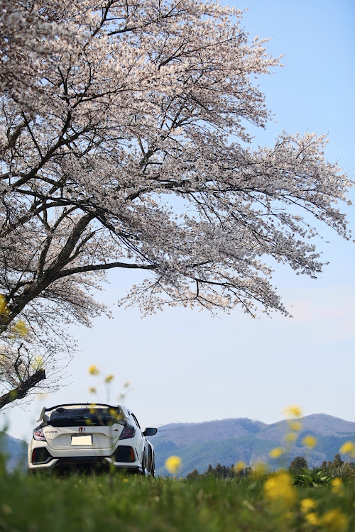 シビックタイプRの桜とコラボ・サクラと愛車・補習は楽し・天栄村の桜・discover＿ctに関するカスタム事例の投稿画像11枚目
