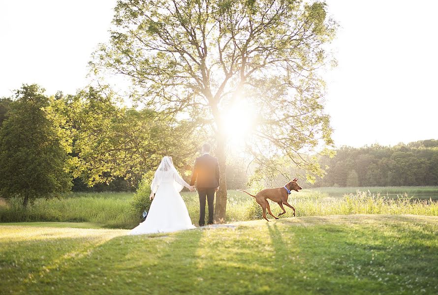 Photographe de mariage Tanja Ferm (tanjametelitsa). Photo du 23 février 2017