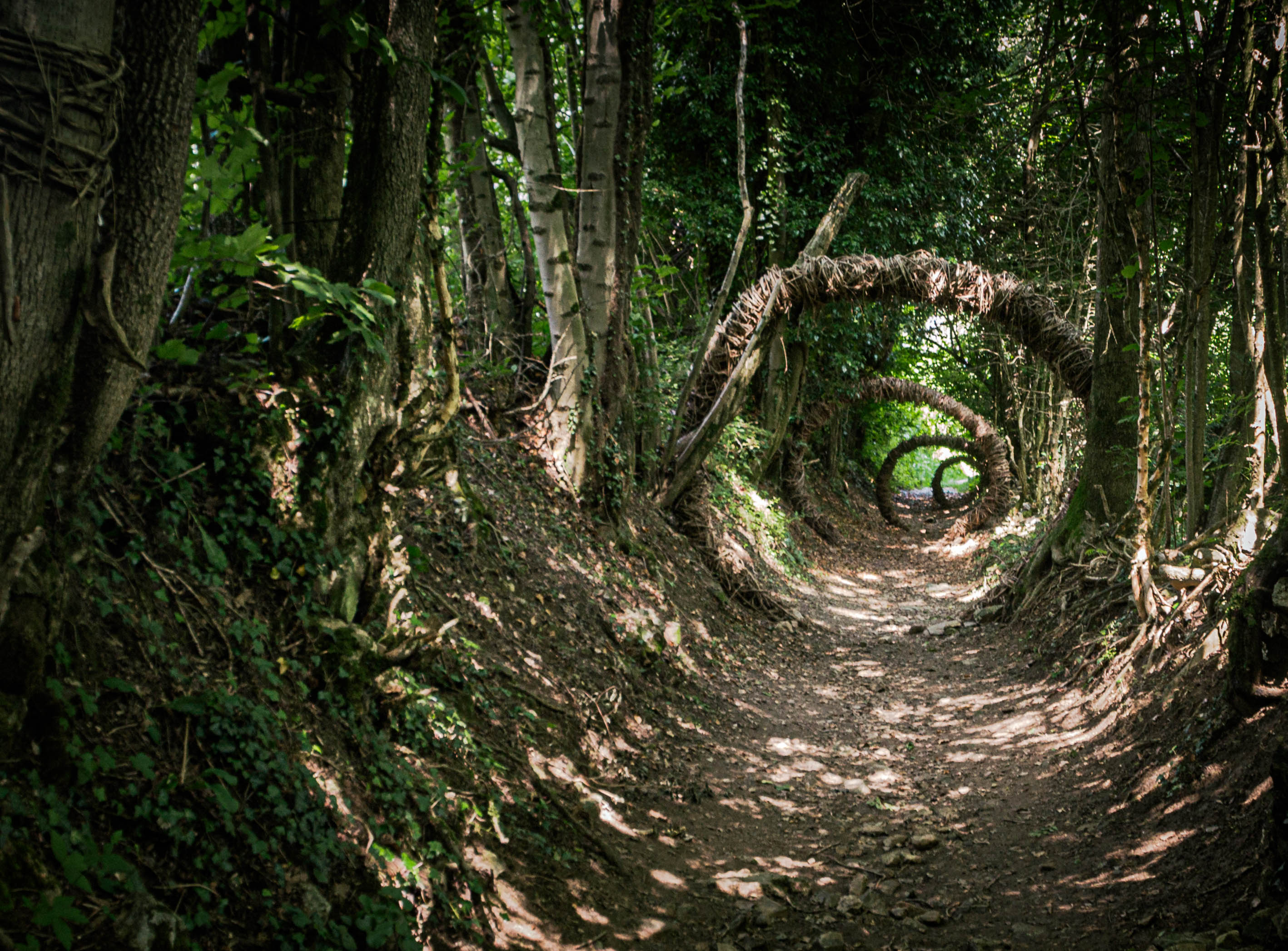 Nel bosco degli gnomi di Ro51