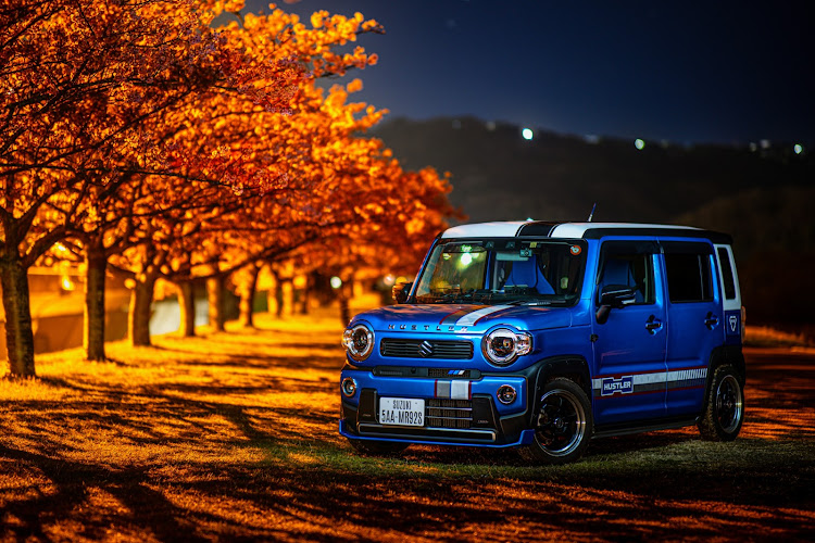 ハスラーの伊豆・河津桜・桜並木・ライティング・夜景に関するカスタム事例の投稿画像6枚目