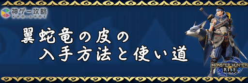 翼蛇竜の皮