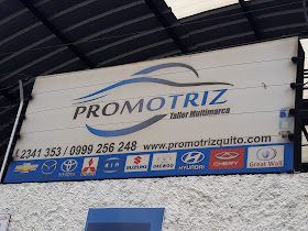 Promotriz