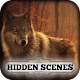 Download Hidden Scenes For PC Windows and Mac 1.0.1