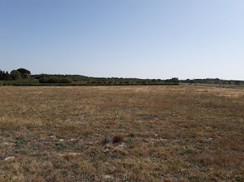 terrain à Dunes (82)