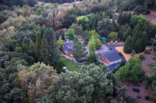 House with garden 2