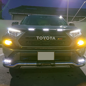 RAV4