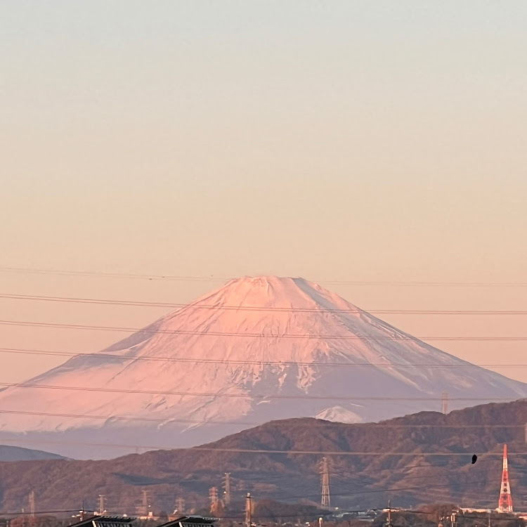 の投稿画像4枚目