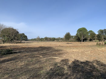 terrain à Aujargues (30)