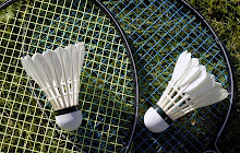 Badminton Wallpaper small promo image