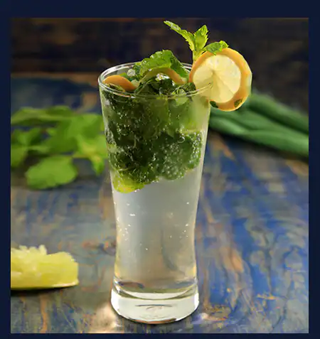 Mojito Mint Coolers