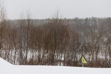 Bryllupsfotograf Denis Zhuravlev (denisjur). Bilde av 10 februar