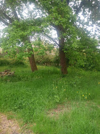 terrain à Le Taillan-Médoc (33)