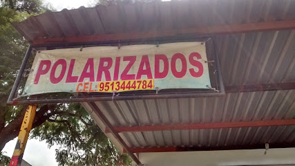 Polarizados