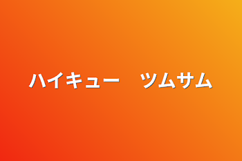 ハイキュー　ツムサム