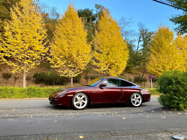 996カレラの秋のドライブ・イチョウの木・顔面アップ選手権に関するカスタム事例の投稿画像1枚目