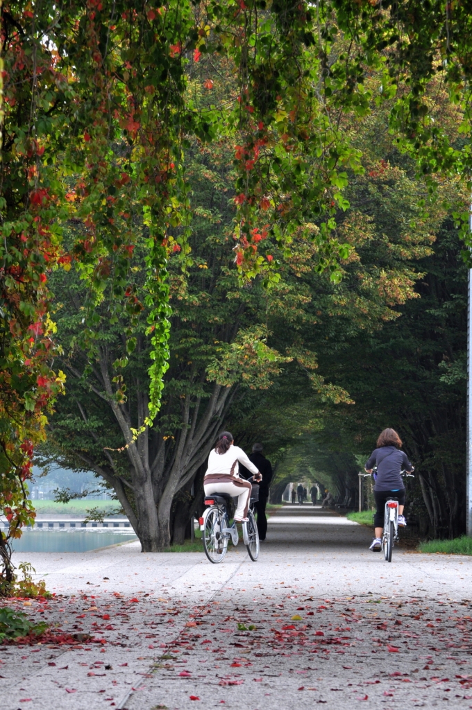 Chiacchiere in bike di gallo