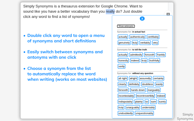 Simply Synonyms Preview image 3