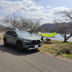 RAV4 MXAA54