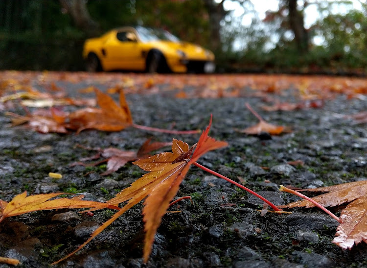 AZ-1の紅葉と愛車・🍁・雨の日ショット・夜勤明け・わびさびに関するカスタム事例の投稿画像1枚目