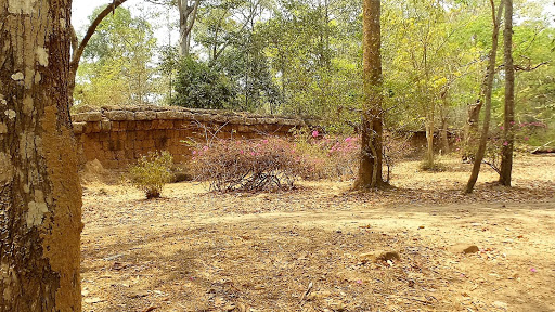 Tomb Raider Movie Temple (Ta Prohm) Cambodia 2016