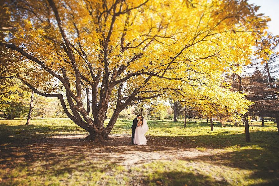 Wedding photographer Darya Sverchkova (sver4kov). Photo of 5 January 2014