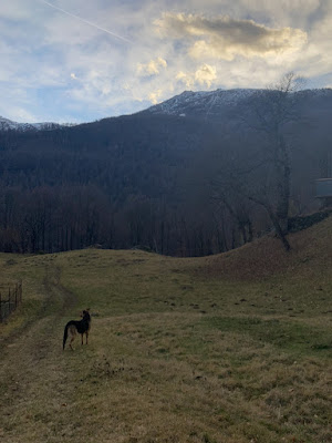 Ricordi di una quarantena in montagna di Marzia_Anania