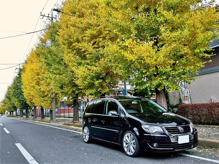 ゴルフトゥーランのバックランプLED化・銀杏並木と愛車・相模原商店・エンジンオイル交換・OS garageに関するカスタム事例の投稿画像7枚目
