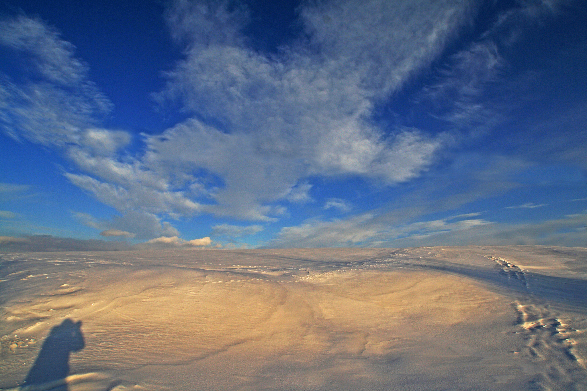 ma il cielo è sempre più blu - rino gaetano di rino_savastano