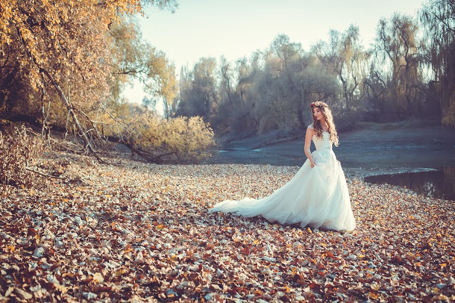 Fotografo di matrimoni Olga Lapshina (lapshina). Foto del 11 novembre 2015