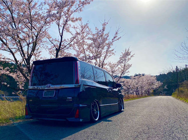 ノアのセカンドホイール・桜とコラボ・リム被り・ツラウチ・生脚派に関するカスタム事例の投稿画像3枚目
