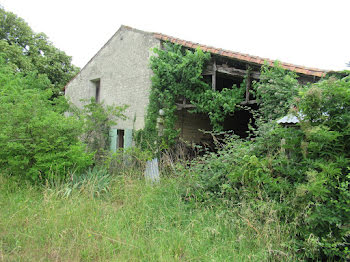 maison à Paizay-le-Chapt (79)