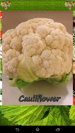 Vegetables Info For Kids poster 6