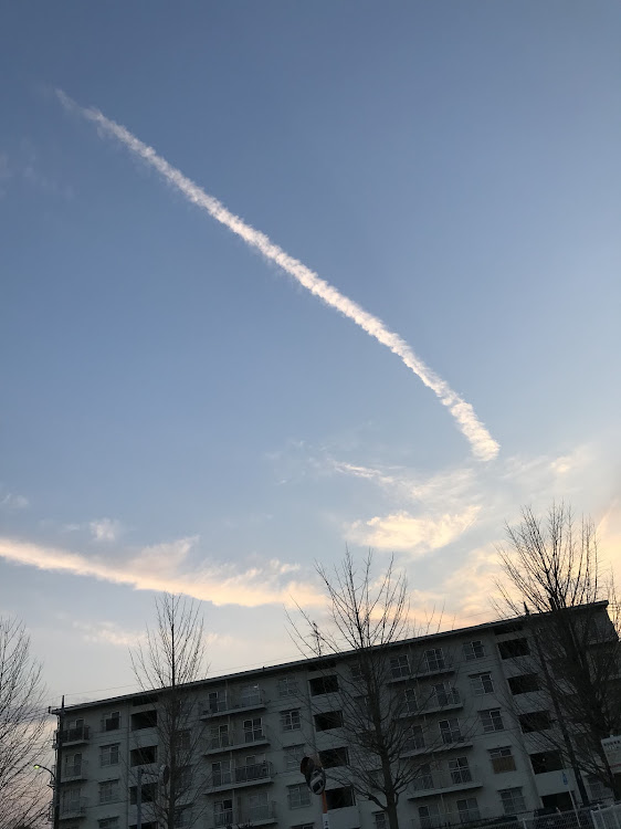 イグニスの雲がまっすぐに関するカスタム事例の投稿画像2枚目