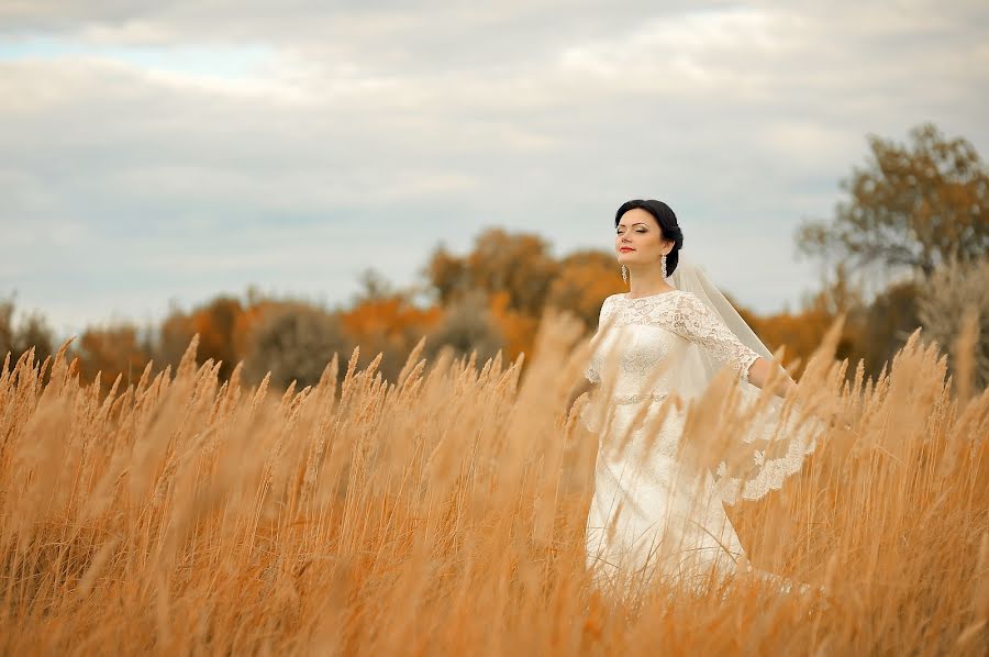 Bröllopsfotograf Olga Andreeva (aola). Foto av 24 december 2014